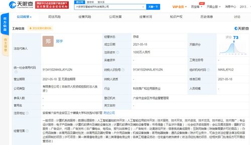 京東云計(jì)算拓展智能城市版圖，新設(shè)科技公司布局動(dòng)漫游戲開發(fā)與系統(tǒng)集成